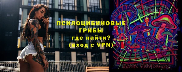 скорость Вяземский