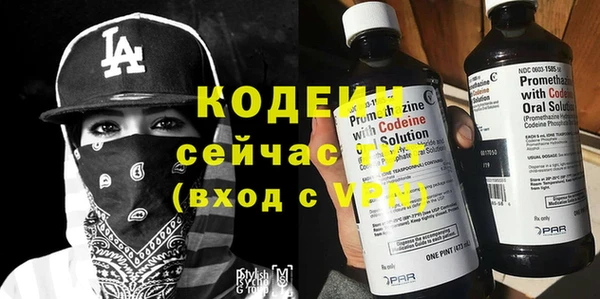 скорость Вяземский