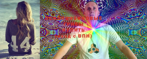 скорость Вяземский