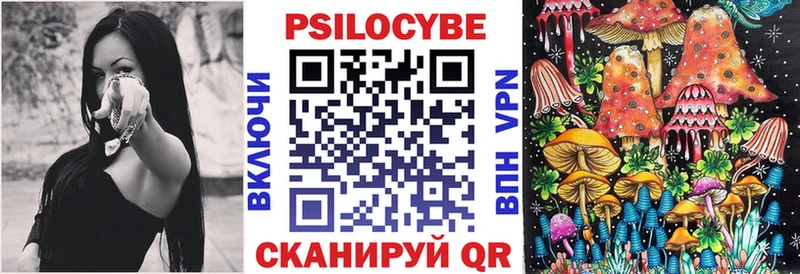 Купить где Бологое Псилоцибиновые грибы GOLDEN TEACHER